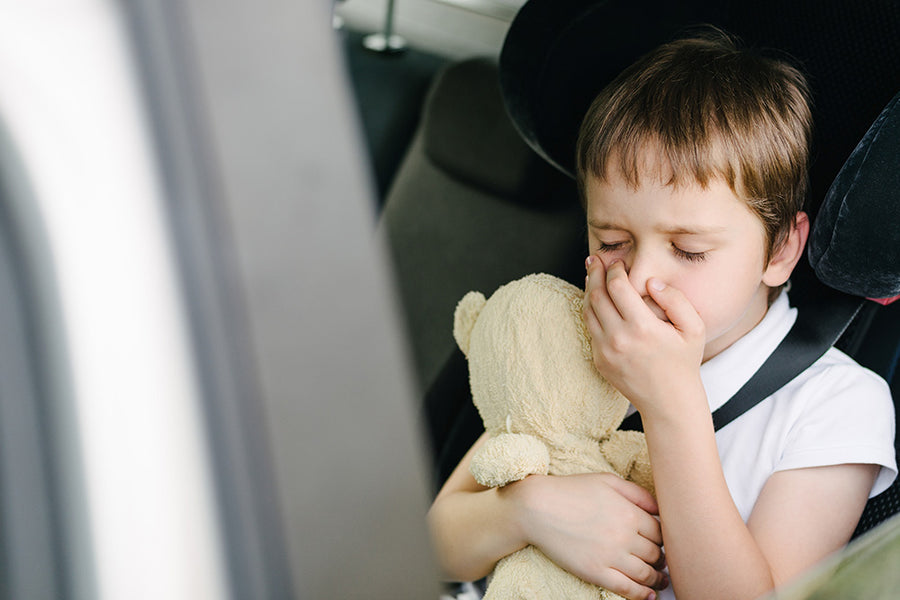 Top Tips For Preventing Motion Sickness